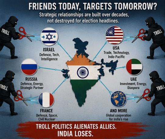 What's Wrong With Troll Democracy