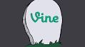 100 Of The Best Vines Of All Time