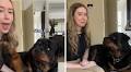 Dog Wants Owner To Stop Copying Him in Hilarious Video