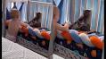 Viral Video: Pet Cat’s Hilarious ‘Tactic’ To Avoid Engaging With Toddler Leaves Internet Amused!