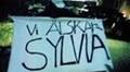 Samarbetet med Sylvia