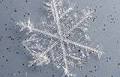5 ideas for outdoor winter macro photography