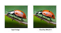 AI Image Generation Sharpens Your Bad Photos And Kills Photography?