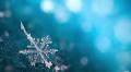 5 Great Winter Macro Photography Ideas