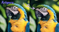 5 Best Photo Enhancers to Improve Image Quality Online in 2025