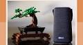 A contender for the best in the portable speaker biz: Tribit StormBox Pro review