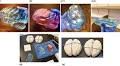 Immunology & Cell Biology | ASI Journal
