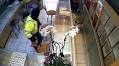 One Last Job? 60-Somethings With Mob Ties Charged in Jewel Heists (Published 2023)