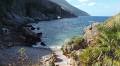 Strangers at the Port by Lauren Aimee Curtis review – an island controlled by men