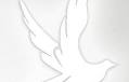Sally Jo Anderson Obituary (2025) - Spokane Valley, WA - Hennessey Funeral Home & Crematory - Spokane Valley