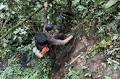 Protect This Place: The Mountainous Ulu Masen Ecosystem