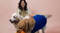 Sonali Bendre on her passion project The Happy Pawdcast and what being a pet parent means to her