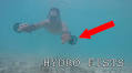 These Crazy Arduino Tech Propellers Will Make You Aquaman #WearableWednesday #Wearabletech #Arduino @PeterSripol