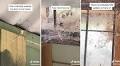 'Never going to Australia’: TikToker stuns with spider count