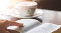 5 Of the best Catholic Bible studies to do online