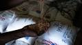 Here’s A Quick Crash Course: What Really Causes Famine Around The World?