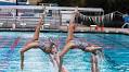 USA Synchro and TeachAids Announce Partnership to Provide CrashCourse Concussion Education to Athletes Nationwide