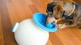 9 Weird Dog Accessories That Will Actually Make Your Life Easier