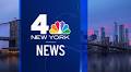 Man Arrested for Viciously Beating Beagle Puppy in NYC: Police