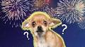 Why Are Dogs Scared Of Fireworks? 10 Tips To Keep Your Dog Calm