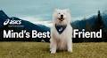 ASICS signs first-ever canine ambassador