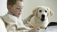 Canine Ambassadors Share Stories of Teaching Responsible Dog Ownership To Children