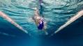 Local Schools Compete in ‘Paws in the Pool’ Swim Meet