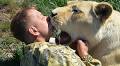 'Lion whisperer' left fighting for his life after vicious attack by lion he previously fought to save