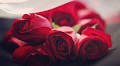 LaRene Scott Obituary September 24, 2025