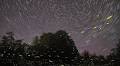 The lost glow: Environmental pollution extinguishes Jugnu at night skies