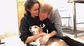 Meghan Markle and Prince Harry 'Sat on the Floor' When Their Dog Had an Operation, Vet Reveals