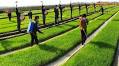 Kaesong farmers unhappy at city party committee’s focus on agitation activities