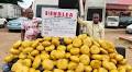 NDLEA nabs drug kingpin in Delta, seizes multi-billion naira narcotics nationwide