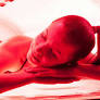 Do red light therapy beds work? We asked the experts