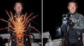 Catch of the day: Freediver gets a bear hug from 12 POUND lobster after finding huge crustacean in sea