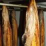 Ban on Irish eel fishing