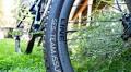 Tubeless Mountain Bike Tires Guide – To Convert or Not to Convert
