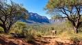 South Africa Invites Travellers to Thrilling Adventures and Nature Retreats