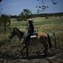 Grabbing the bull by the tail: Venezuela's cowboy sport