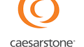 Caesarstone Ltd (CSTE) Q1 2025 Earnings Call Highlights: Navigating Challenges with Strategic ...