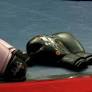 Boxing academy saving youth one punch at a time