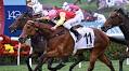 Hong Kong Racing Insights: 2025 BMW Hong Kong Derby