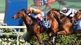 Cap Ferrat stuns with BMW Hong Kong Derby triumph