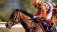 Snitzel's Cap Ferrat Breaks Maiden in Style in Hong Kong Derby