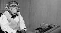 Monkeys will never have capacity to write complete Shakespeare works, study says