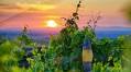 Need a trusted source to publish your wine info?