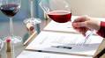 5 Best Online Wine Courses To Expand Your Knowledge