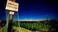 New wine science and viticulture certificate program now available online