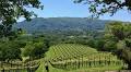 Wine tasting with writers’ ghosts in the Valley of the Moon