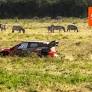 Everything You Need To Know for Safari Rally Kenya 2026 WRC